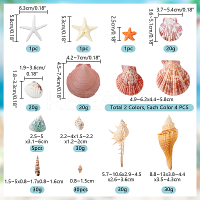 14 Styles Natural Shell Ornaments AJEW-PH0011-89-1