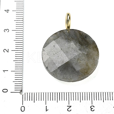 Natural Labradorite Faceted Pendants G-A287-02G-13-1