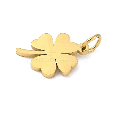 304 Stainless Steel Charms LS-STAS-M120-07C-G-1
