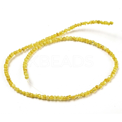 Natural White Shell Dyed Beads Strands BSHE-Z005-03F-1