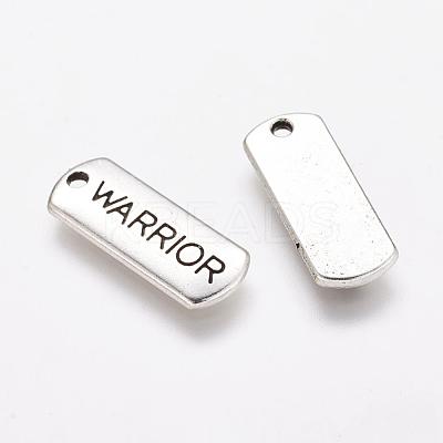 Tibetan Style Alloy Rectangle Pendants TIBEP-Q043-050-RS-1