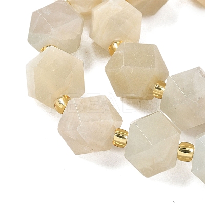 Natural Moonstone Beads Strands G-G271-A02-01-1