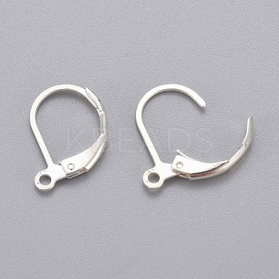 316L Surgical Stainless Steel Leverback Earring Findings STAS-E194-03S-1