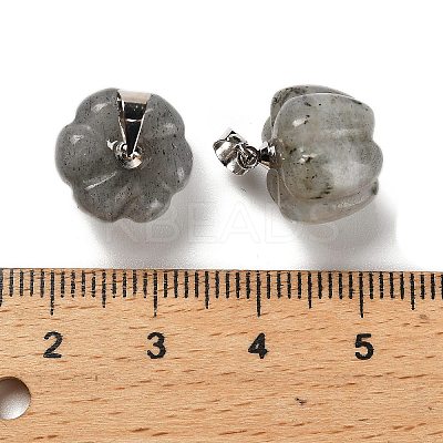 Natural Labradorite Pumpkin Charms G-K338-27P-03-1