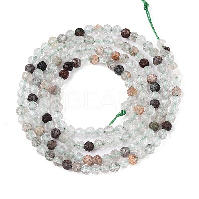 Natural Green Lodolite Quartz/Garden Quartz Beads Strands G-T143-01-1