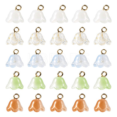 80Pcs 5 Colors Handmade Lampwork Charms FIND-TA0002-77-1