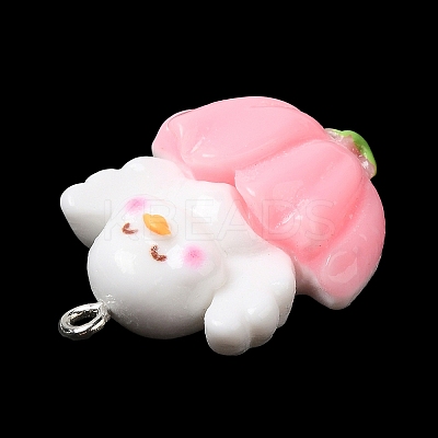Cute Opaque Resin Pendants LS-RESI-L038-07P-05-1