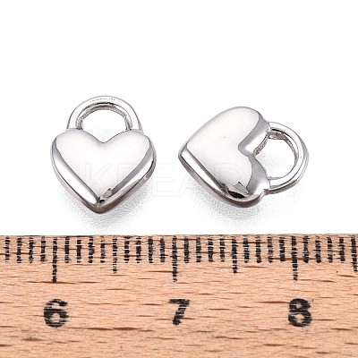 304 Stainless Steel Charms STAS-N109-194P-1