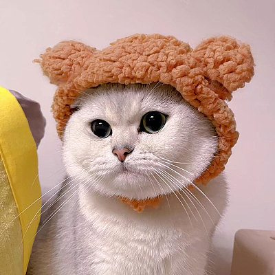 2Pcs 2 Styles Cute Cotton Warm Rabbit & Bear Hat AJEW-GL0002-57-1
