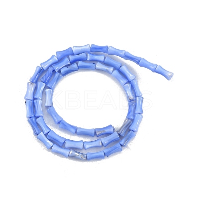 Natural Freshwater Shell Beads Strands SHEL-G013-01I-1