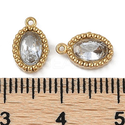 Ion Plating(IP) 304 Stainless Steel Micro Pave Cubic Zirconia Charms STAS-K256-19G-03-1