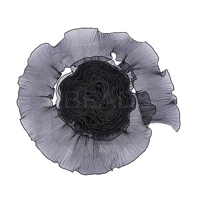 Polyester Pleated Lace Trim Ribbon OCOR-WH0079-45A-1