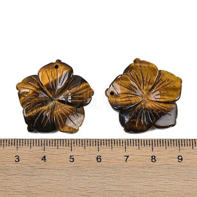 Natural Tiger Eye Carved Pendants G-B097-01A-07-1