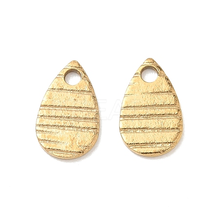 304 Stainless Steel Charms STAS-G393-05G-03-1
