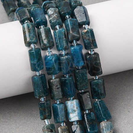 Natural Apatite Beads Strands G-L655-B03-01-1