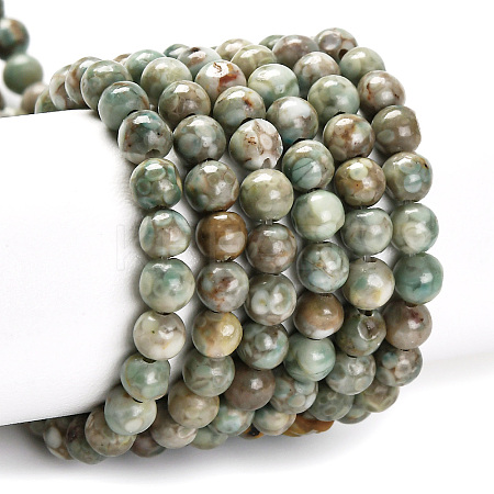 Natural Maifanite/Maifan Stone Beads Strands G-P451-01C-E-1