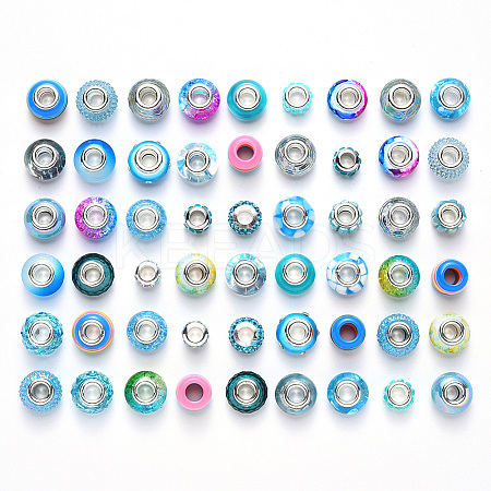 Acrylic & Resin & Polymer Clay Rhinestone European Beads FPDL-NB0001-02B-1