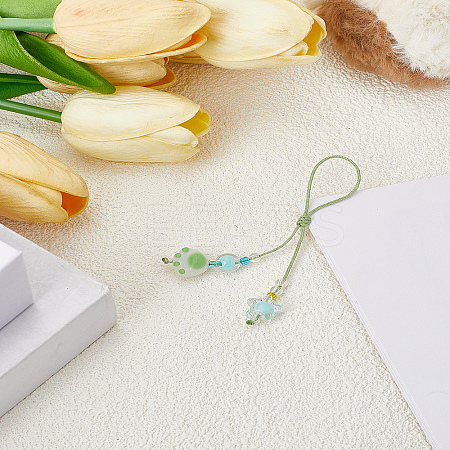 1Pc Resin with Nylon Cord Mobile Accessories Decoration HJEW-LP0002-13D-1