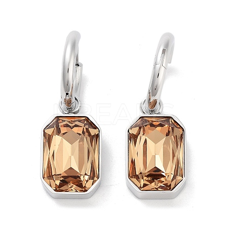 304 Stainless Steel Hoop Earring EJEW-C017-06P-04-1
