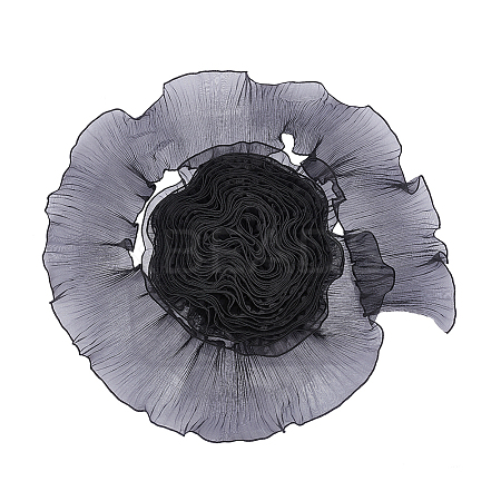 Polyester Pleated Lace Trim Ribbon OCOR-WH0079-45A-1