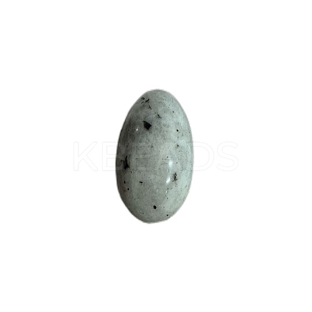 Natural Labradorite Carved Healing Egg Figurines PW-WG29511-05-1