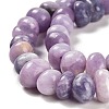 Natural Lepidolite/Purple Mica Stone Beads Strands G-G053-C01-01-4