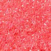 Glass Seed Beads X-SEED-S042-13A-07-3