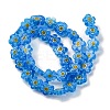 Handmade Millefiori Lampwork Beads Strands LAMP-G164-03C-2