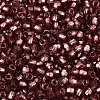 Silver Lined Glass Seed Beads SEED-T007-18A-13-3