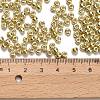 TOHO 6/0 Round Beads X-SEED-TR06-PF0559-3