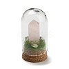 Natural Rose Quartz Bullet Display Decoration with Glass Dome Cloche Cover DJEW-B009-02G-1