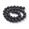 Natural Obsidian Beads Strands G-G099-12mm-24-2