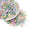FGB Frosted Transparent Glass Seed Beads SEED-N013-02A-1