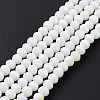 Electroplate Opaque Solid Color Glass Beads Strands EGLA-A044-P3mm-L01-2