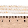 Natural Freshwater Shell Beads Strands X-SHEL-T011-02-4mm-4