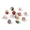 12Pcs 6 Style Natural Gemstone Charms G-FW0001-24-2