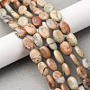 Natural Aqua Terra Jasper Beads Strands G-L624-E03-14x10mm-1