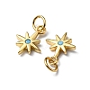 Rack Plating Brass Micro Pave Cubic Zirconia Pendants KK-P235-06G-2