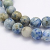 Natural Crazy Agate Beads Strands G-G707-8mm-A18-3