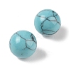 Synthetic Turquoise No Hole Sphere Beads G-K353-04A-12-2