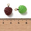 Alloy Enamel Pendants FIND-Z117-10G-4