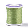 Nylon 66 Coated Beading Threads for Seed Beads NWIR-R047-015-1