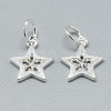 925 Sterling Silver Charms X-STER-T002-298S-2