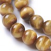 Natural Tiger Eye Beads Strands G-P428-01B-8mm-3