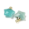 Natural Amazonite Pendants G-P540-01G-03-2