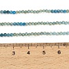 Gradient Color Natural Apatite Beads Strands GG-CBA1668-A04-2mm-5