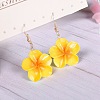 Flower Resin Dangle Earrings FS-WG2DDFE-07-1