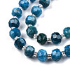 Natural Apatite Beads Strands G-N327-08D-3