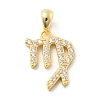925 Sterling Silver Micro Pave Clear Cubic Zirconia Pendants LS-STER-Z012-06G-08-1