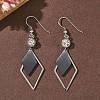 Electroplated 304 Stainless Steel Dangle Earrings EJEW-Z129-22P-1